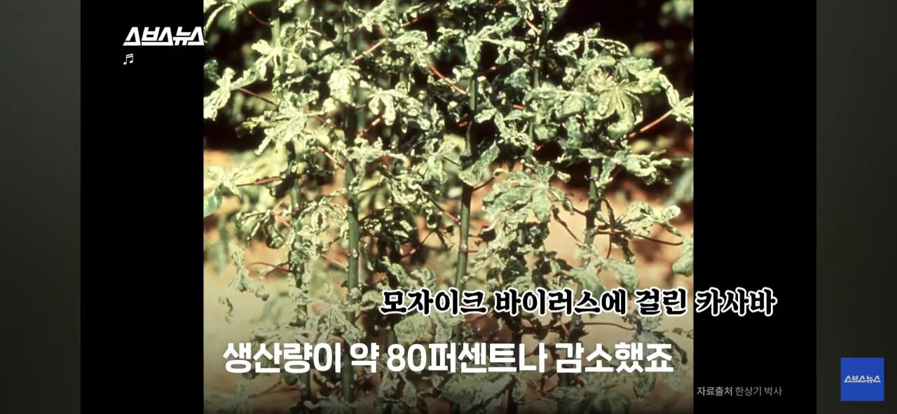 Screenshot_20260906_175310_YouTube.jpg ์ฑ๊ธ๋ฒ๊ธ ์ํ๋ฆฌ์นด ํ๊ตญ์ธ ๋์ถ์ฅ