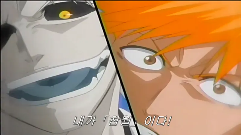 46daa15892ea5652e06620e0237336ae.png 원피스, 나루토, 블리치 3대 진실.jpg