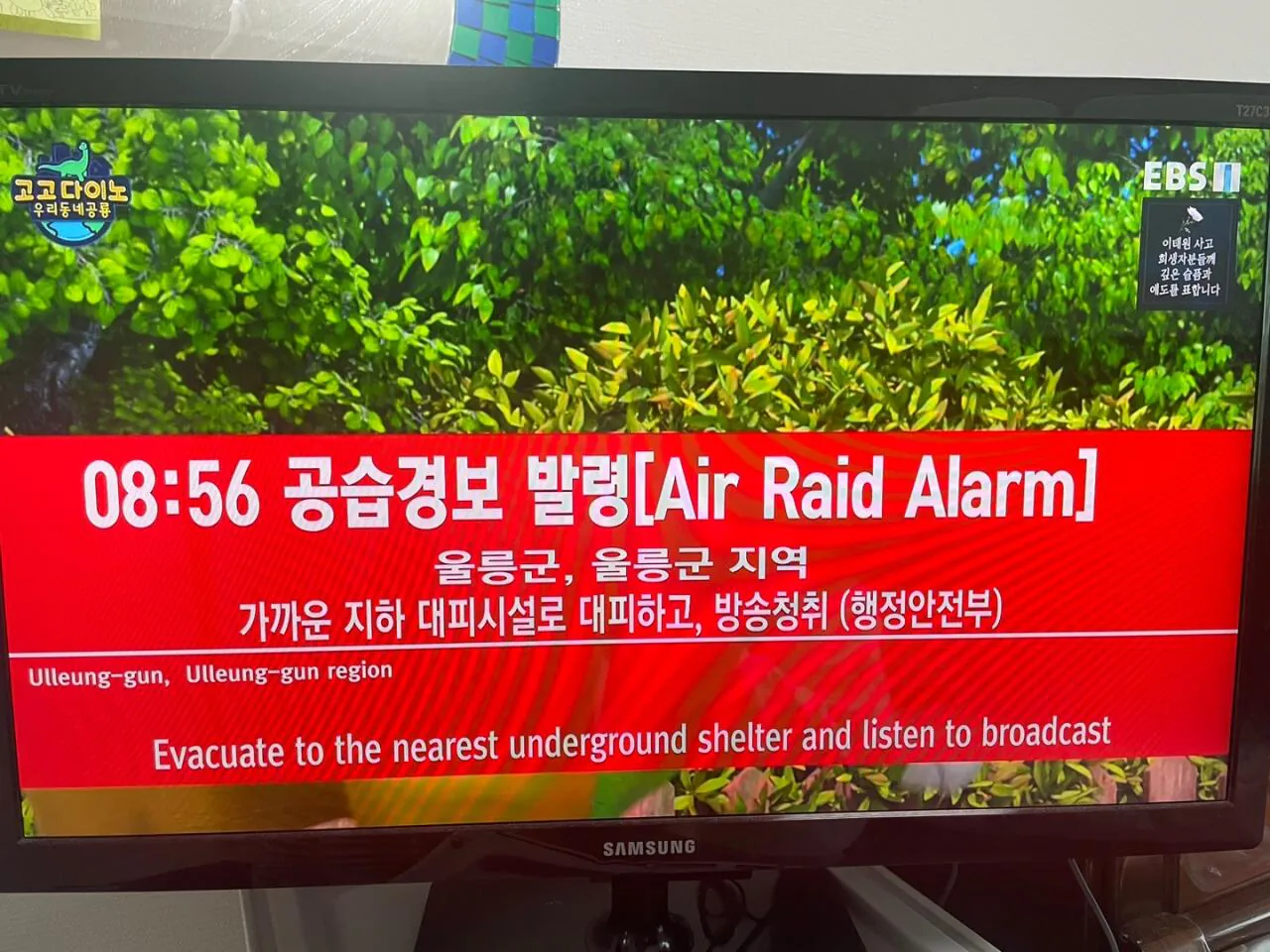 SSI_20221102091727.jpg 오늘로 25사단 DMZ 지뢰 폭발 사건 한달차 정리