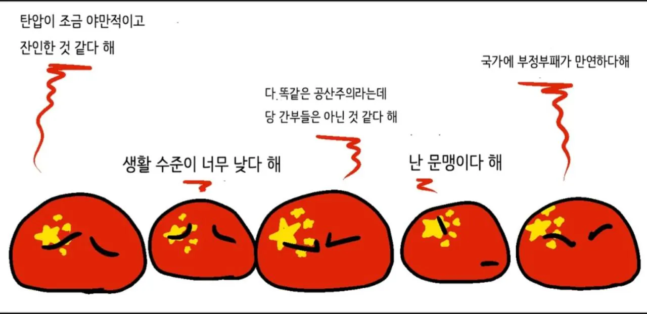 1000109095.jpg 폴란드볼) 중국이 국민들에게 언론과 비판의 자유를 주는 이유