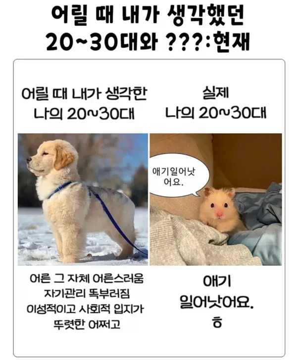 m_20260720204306_O5oUyfAQ8t.webp 요즘 30대 사람들 특징
