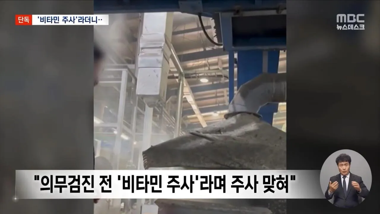 비타민 주사로 위장한 중금속 배출 주사