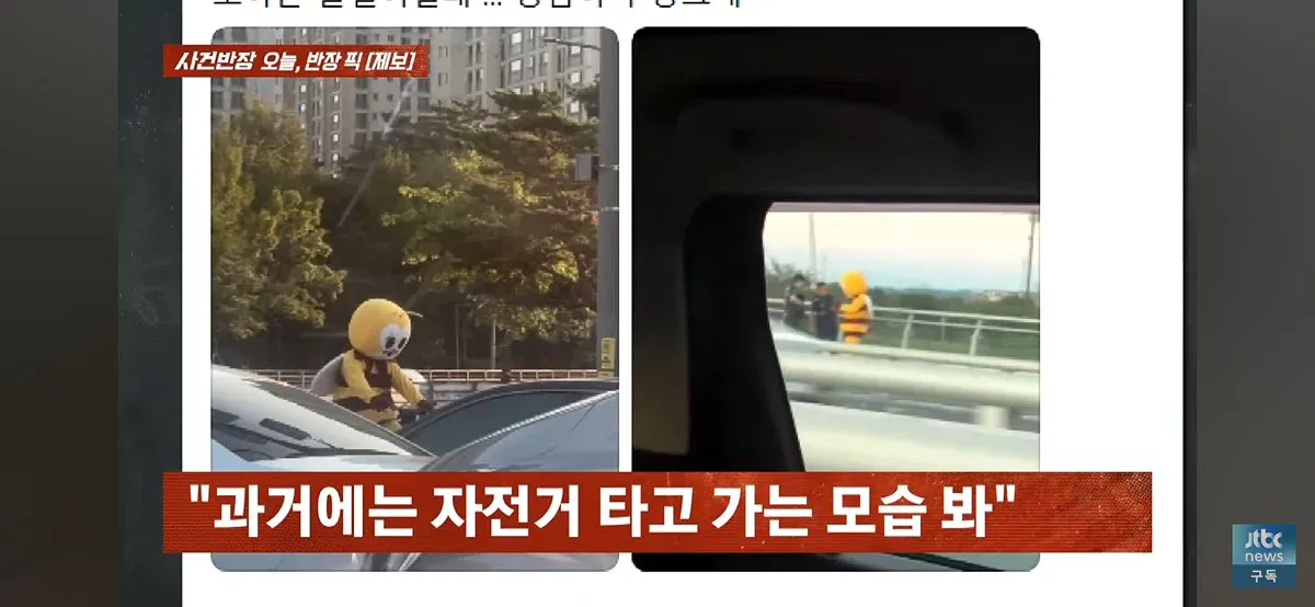 1000071657.webp 포텐간 꿀벌 인형탈 당사자 근황