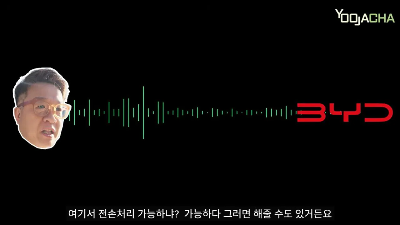 7.jpg BYD 돌핀 샀다가 전손사고 난 유튜버