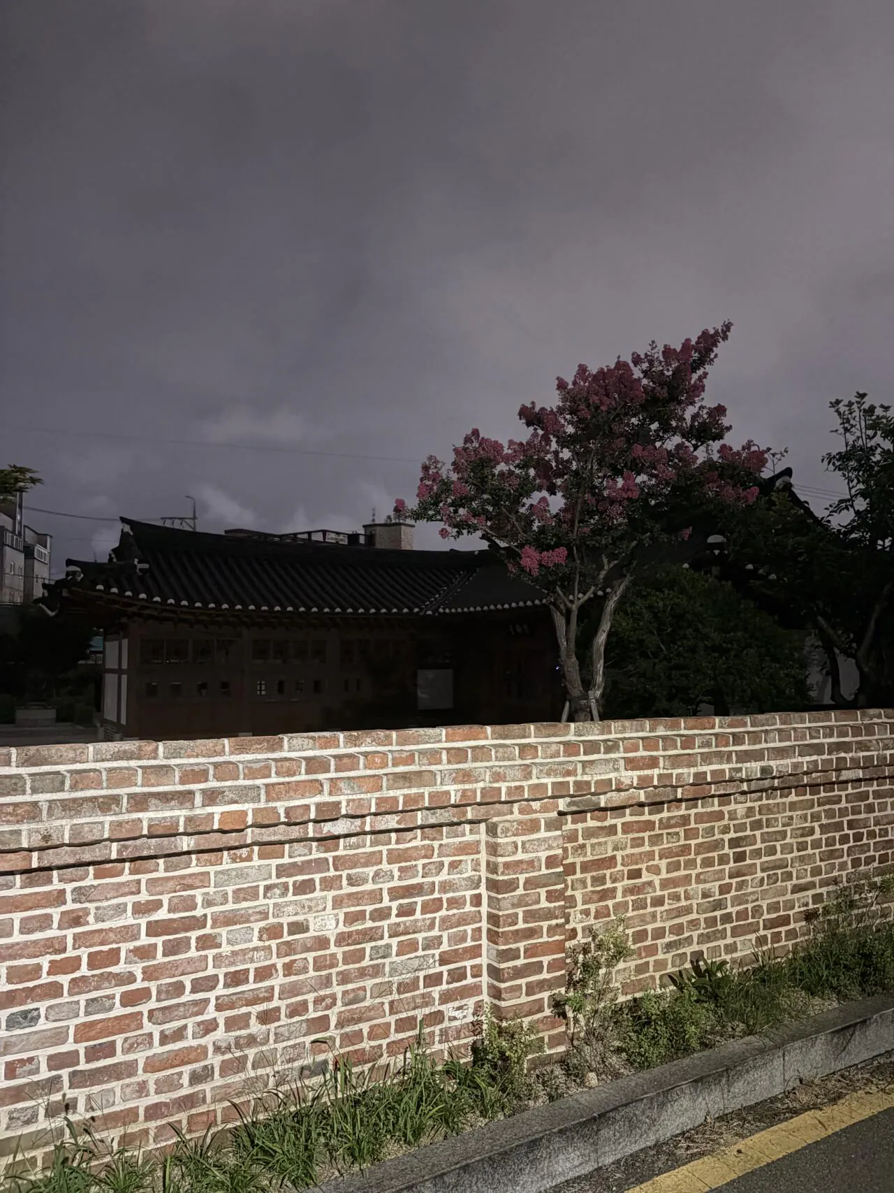 실시간) SK 창업주 생가 가서 기도하고옴