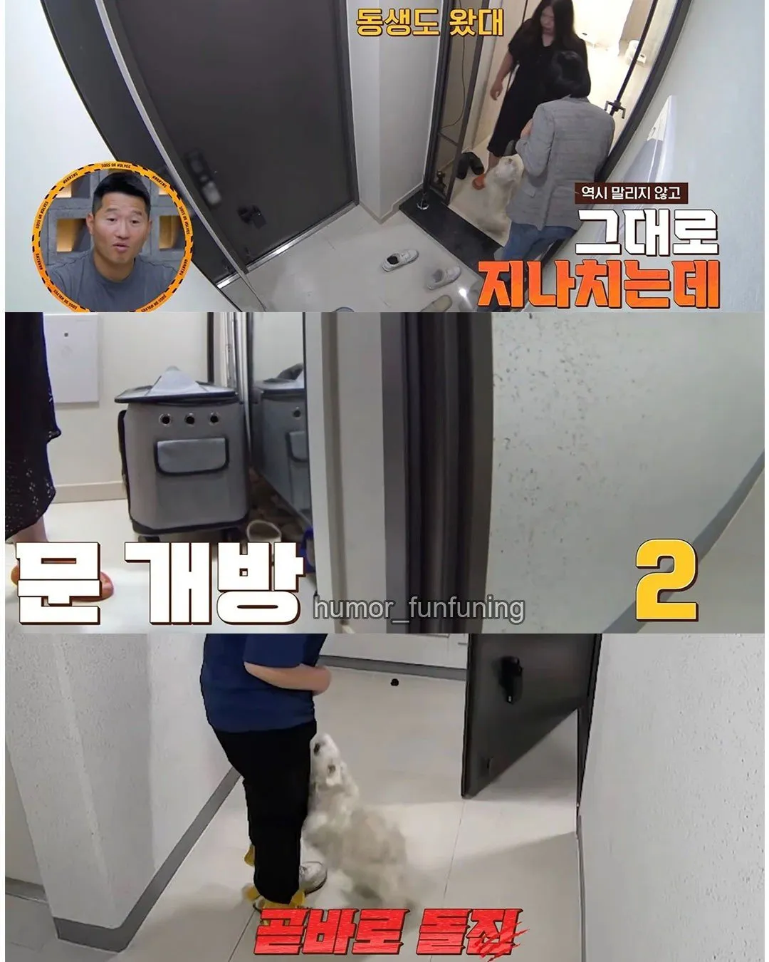 6506.jpg 강아지가 10분만 물면 더이상 안문다고 그냥 물리라고 하는 보호자 ㄷㄷ