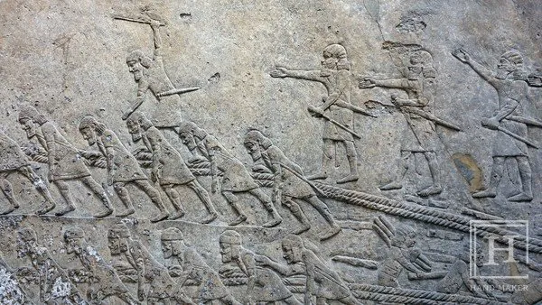 IMG_6551.jpeg 구약 성경의 다윗은 과연 실존 인물이었을까?