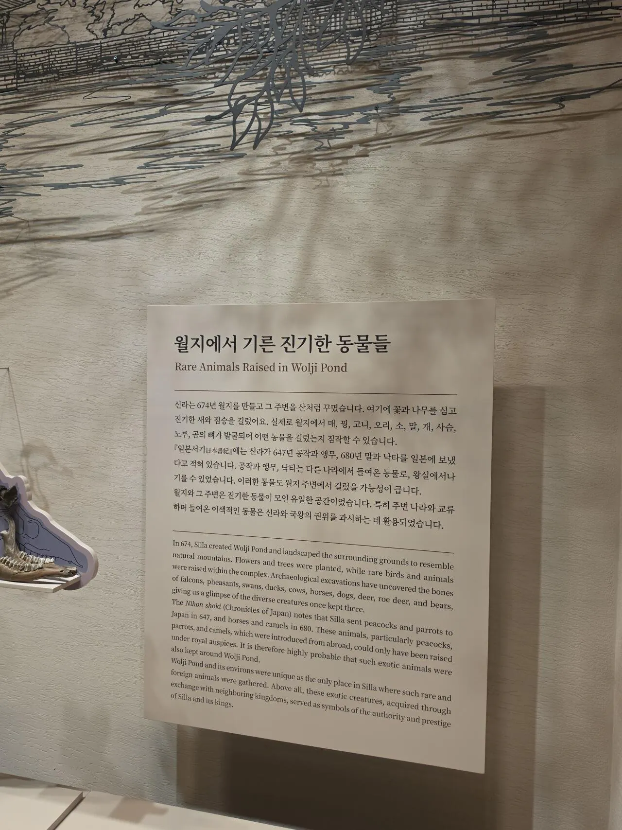 21517.jpg ??? : 기를거랬잖아!! 기를거랬잖아!!