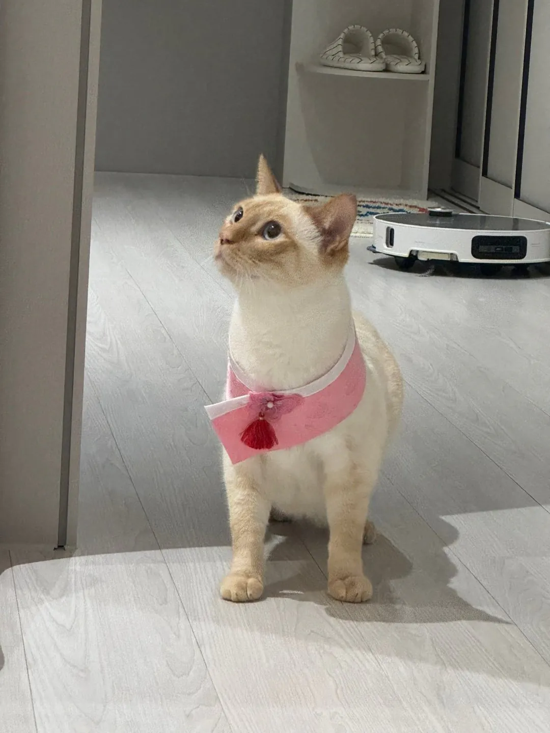22827.jpg 해피 추석 되십쇼 형님들
