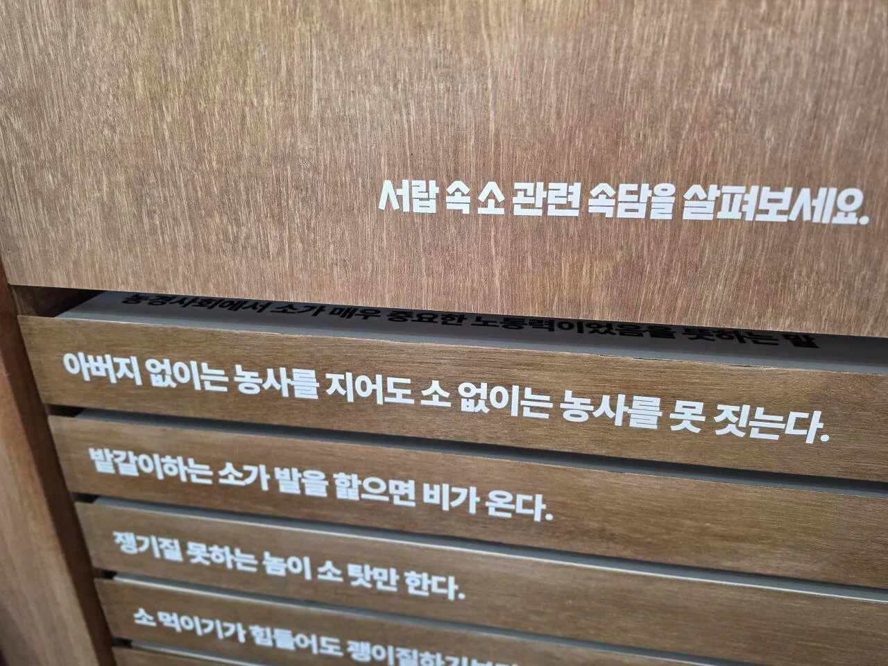 20533.jpg 뻘글) "조선시대에는 단지 vpn이나 토르가 없었을 뿐이다"