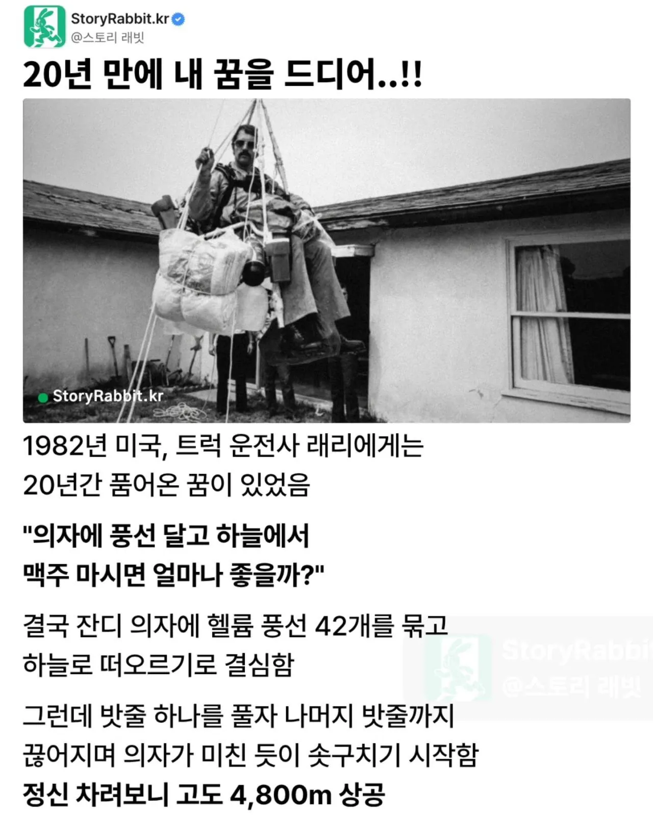 영화 '업(UP)' 미친 현실판