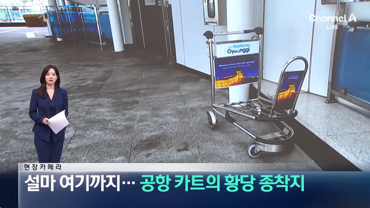 설마 여기까지…공항 카트의 황당 종착지 (1).png 공항카트를 자기 마음대로 쓴다는 뻔뻔한 인간들