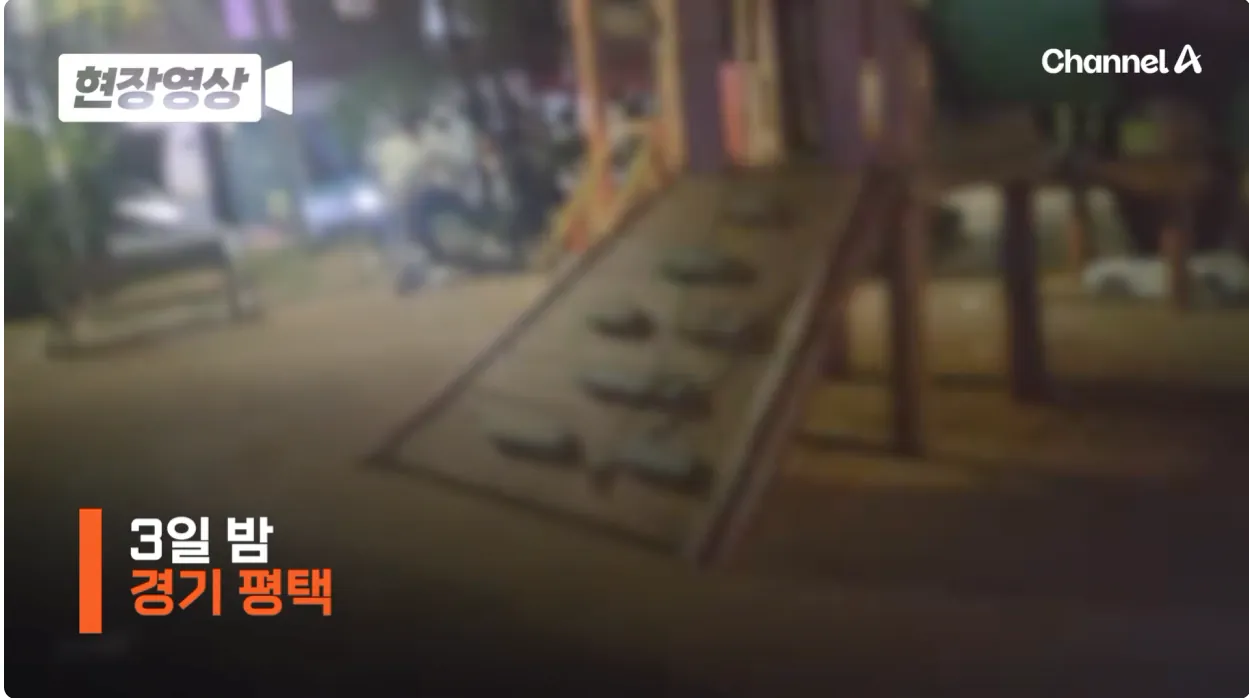 방망이 휘두르고 발길질…평택서 한 밤 중 외국인 집단 폭행 (1).png 어제 평택에서 일어난 외국인 패싸움
