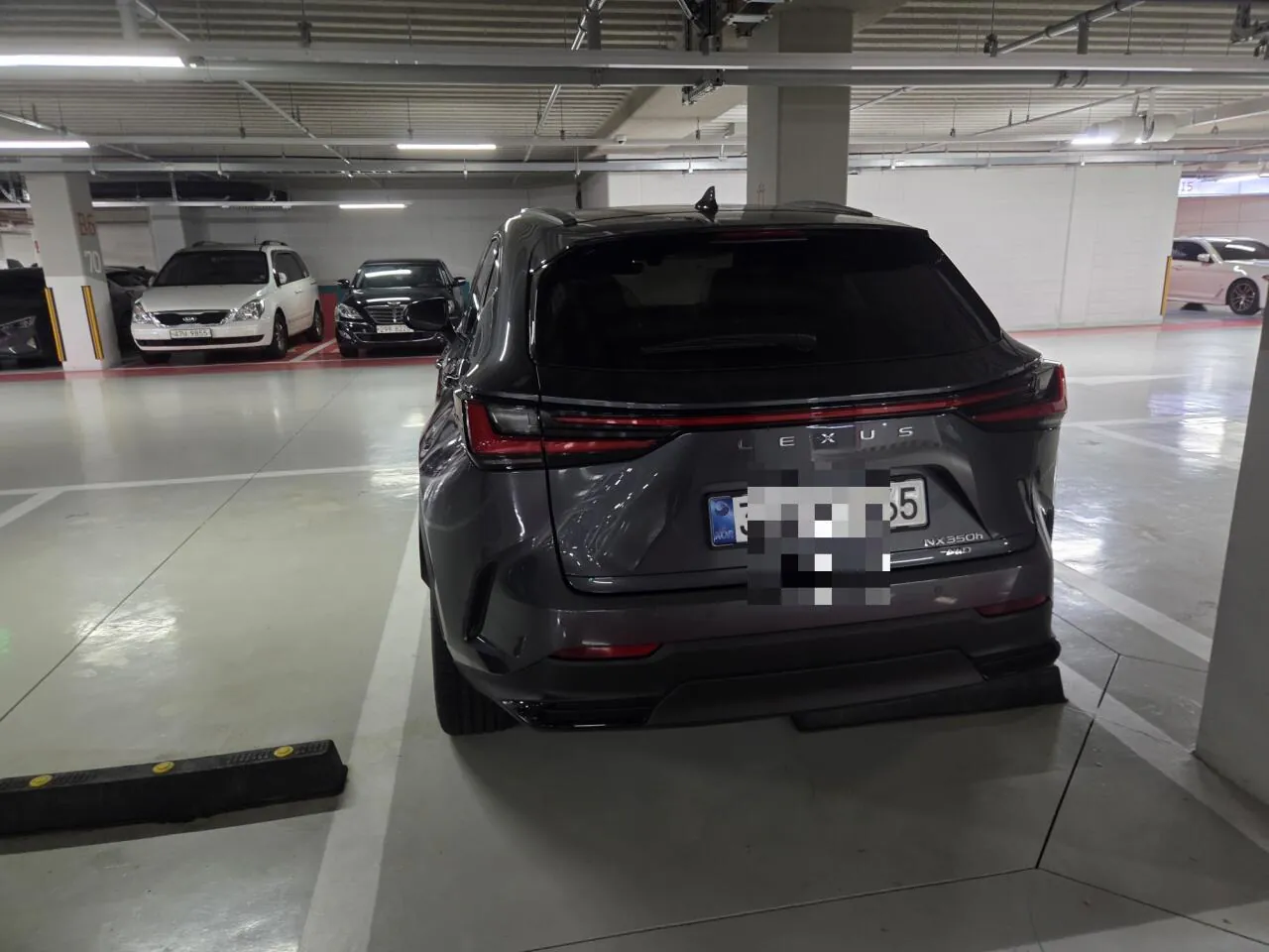 벨로스터15년타고 렉서스 nx350h 샀다