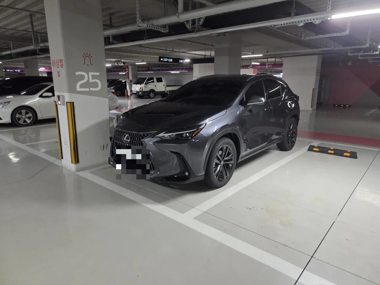 벨로스터15년타고 렉서스 nx350h 샀다
