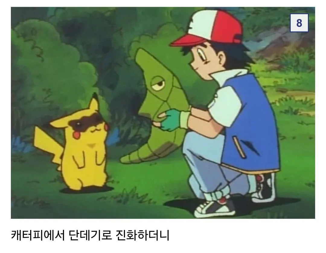 06 Browser.jpg 애벌레 잡아서 나비까지 키운 사람 ㄷㄷ