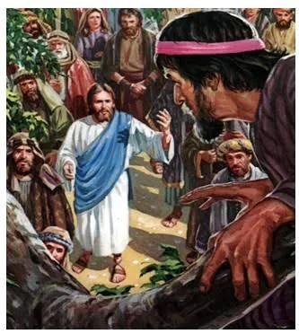 image.png 삭개오의 나무