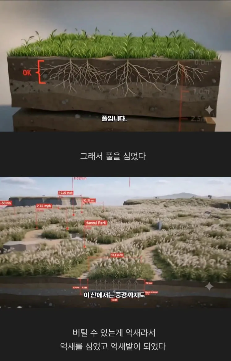 image.png 난지도의 쓰레기산을 서울시가 처리한 방법