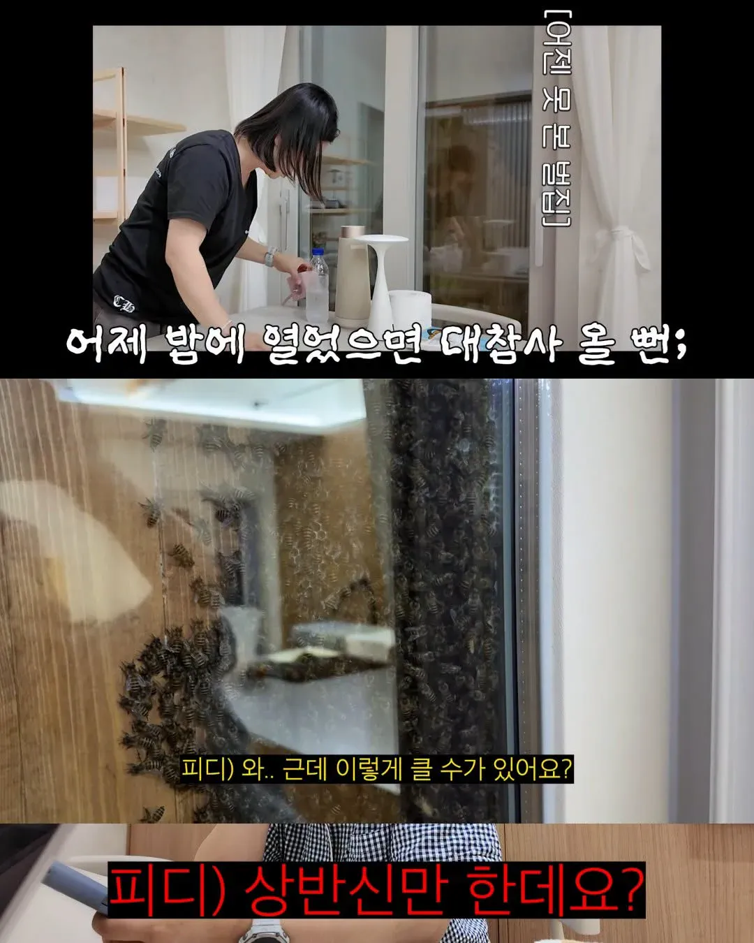 Internet_20261025_084350_8.webp 2주만에 제주도 집 갔다가 119 부른 김숙