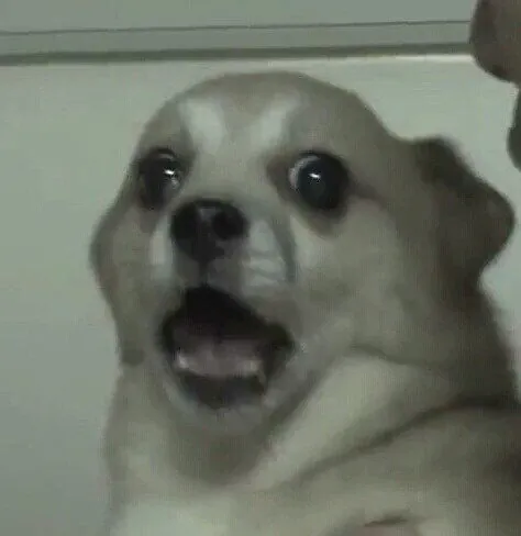 image.png 스님들을 팬 안동부사와 그것을 말렸던 장수생 이야기