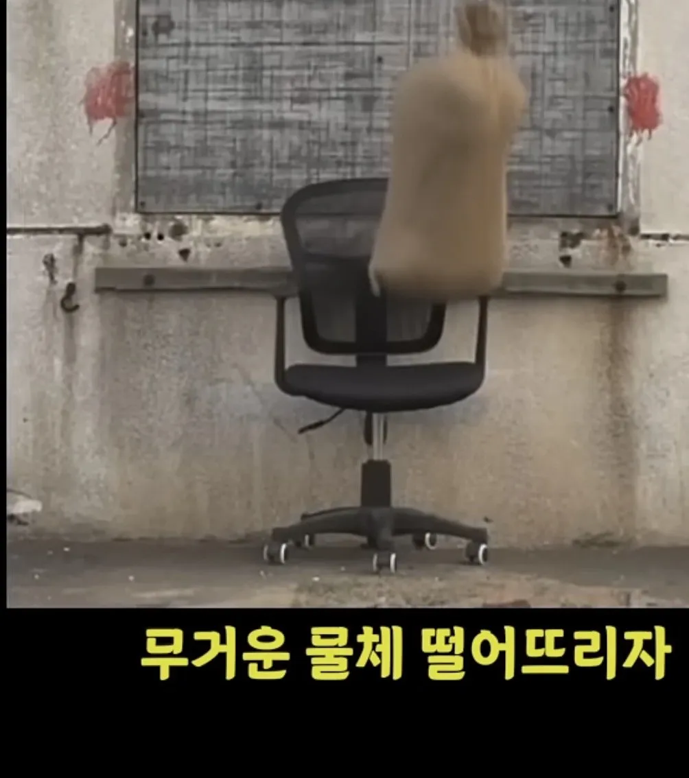 IMG_9033.jpeg 한국서 중국산 저가의자 소비사 확 줄어든 계기.JPG