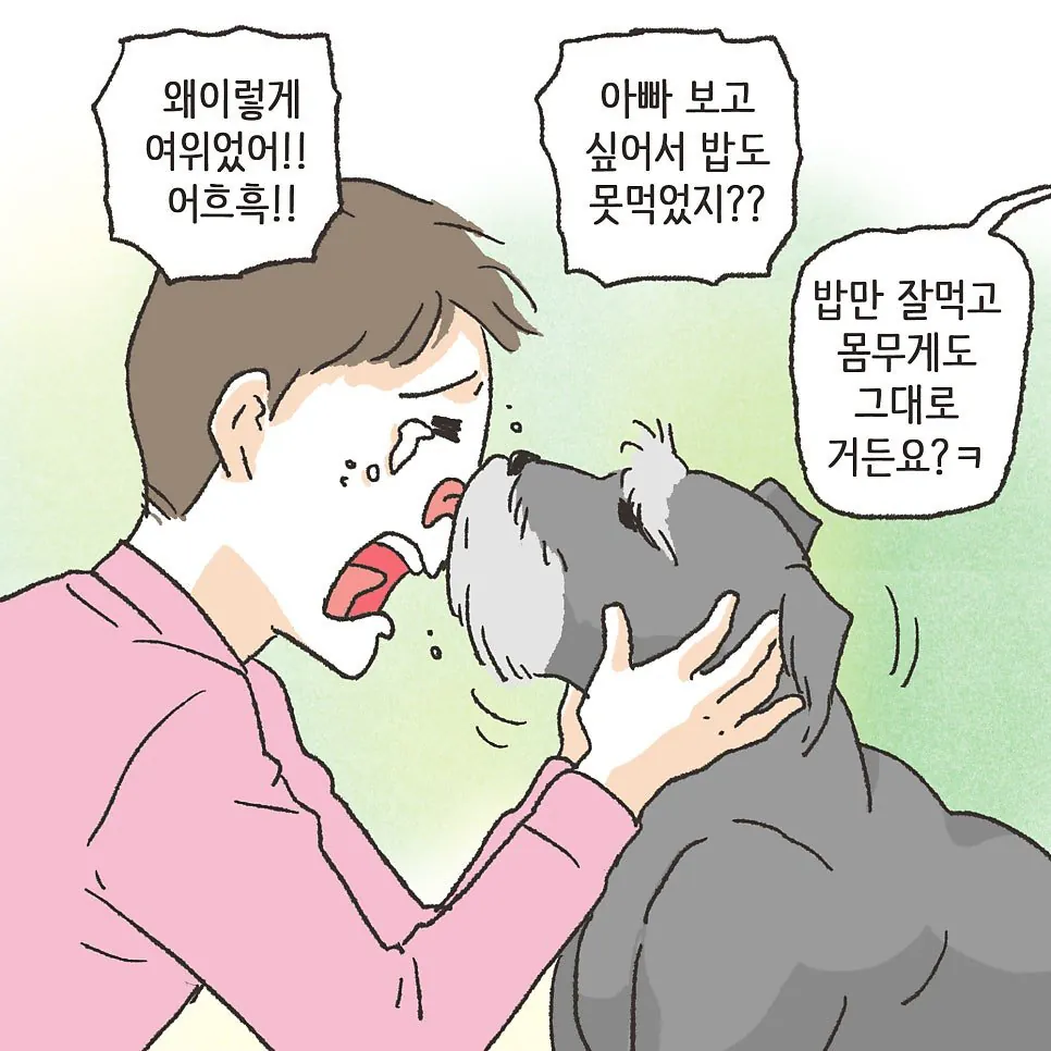 부부사이에 반려견이 있어야 하는 이유
