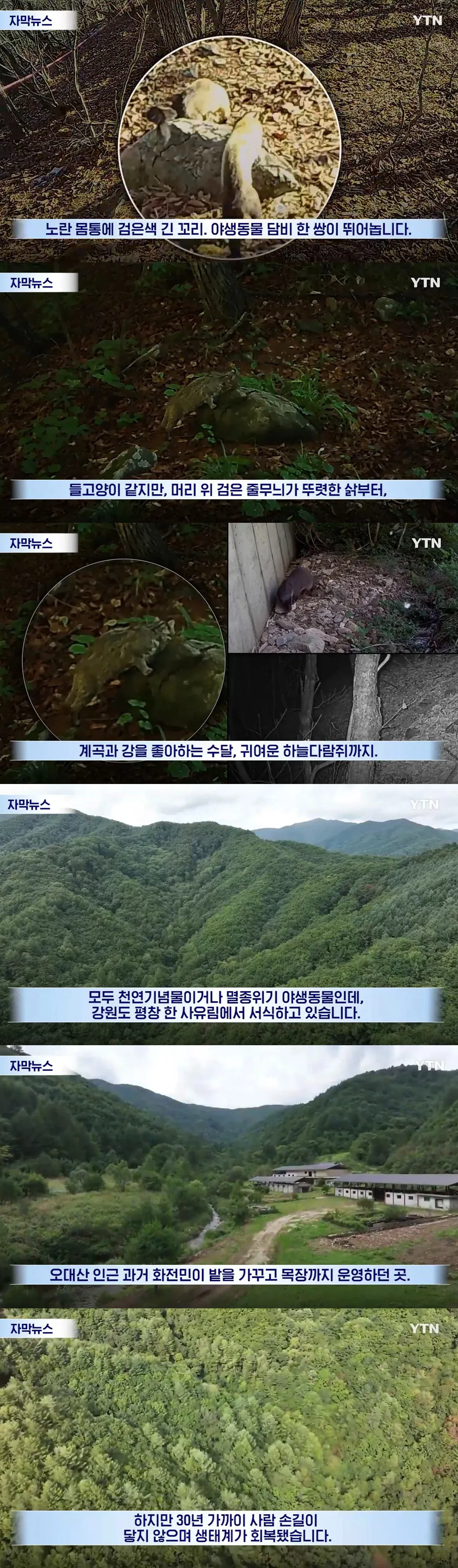 IMG_5596.png 수십억 들여 숲 사놓고 아무것도 안한 이유.jpg