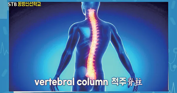image.png 이걸 못하면 택견을 배운 게 아니라는 택견의 풋워크, 품밟기의 개념을 Araboja