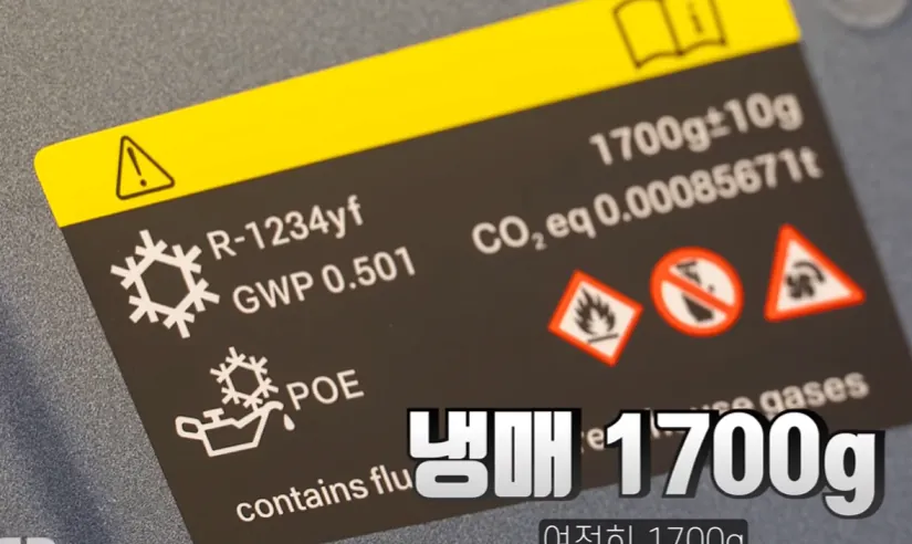 image.png BYD 사도 되는거냐?에 대한 색다른 답변