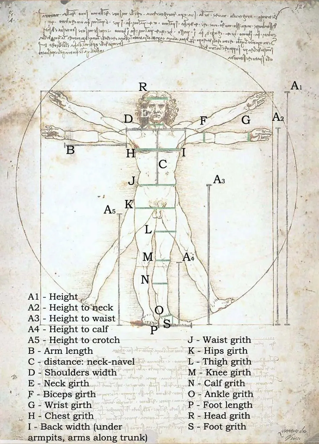 Leonardo-Da-Vinci-Vitruvian-Man-Full-Artwork-Mathematics.jpeg 서구가 그리스-로마 미의 기준 못벗어난 이유...jpg