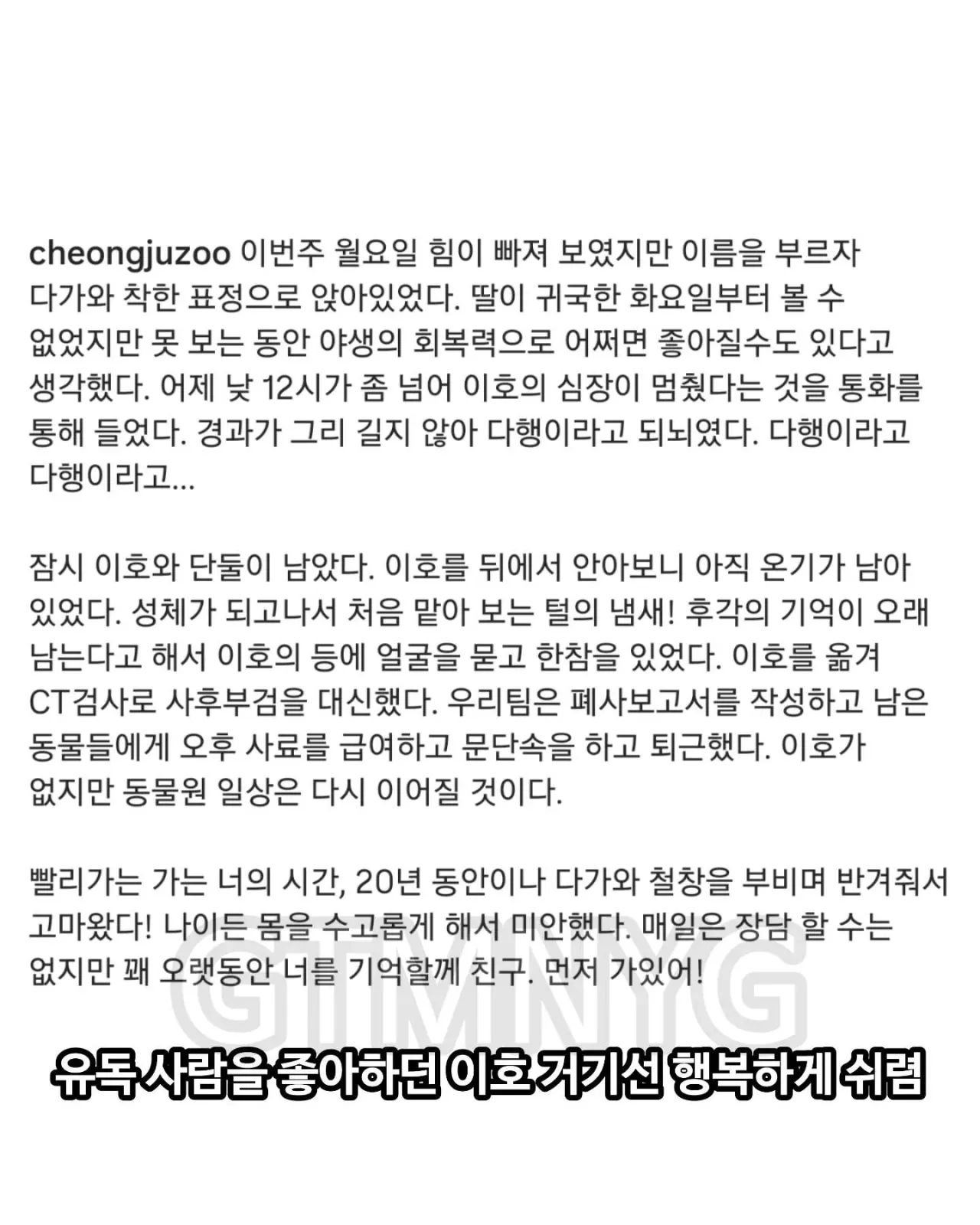 image.png 사람 좋아하던 청주동물원 호랑이 이호.jpg