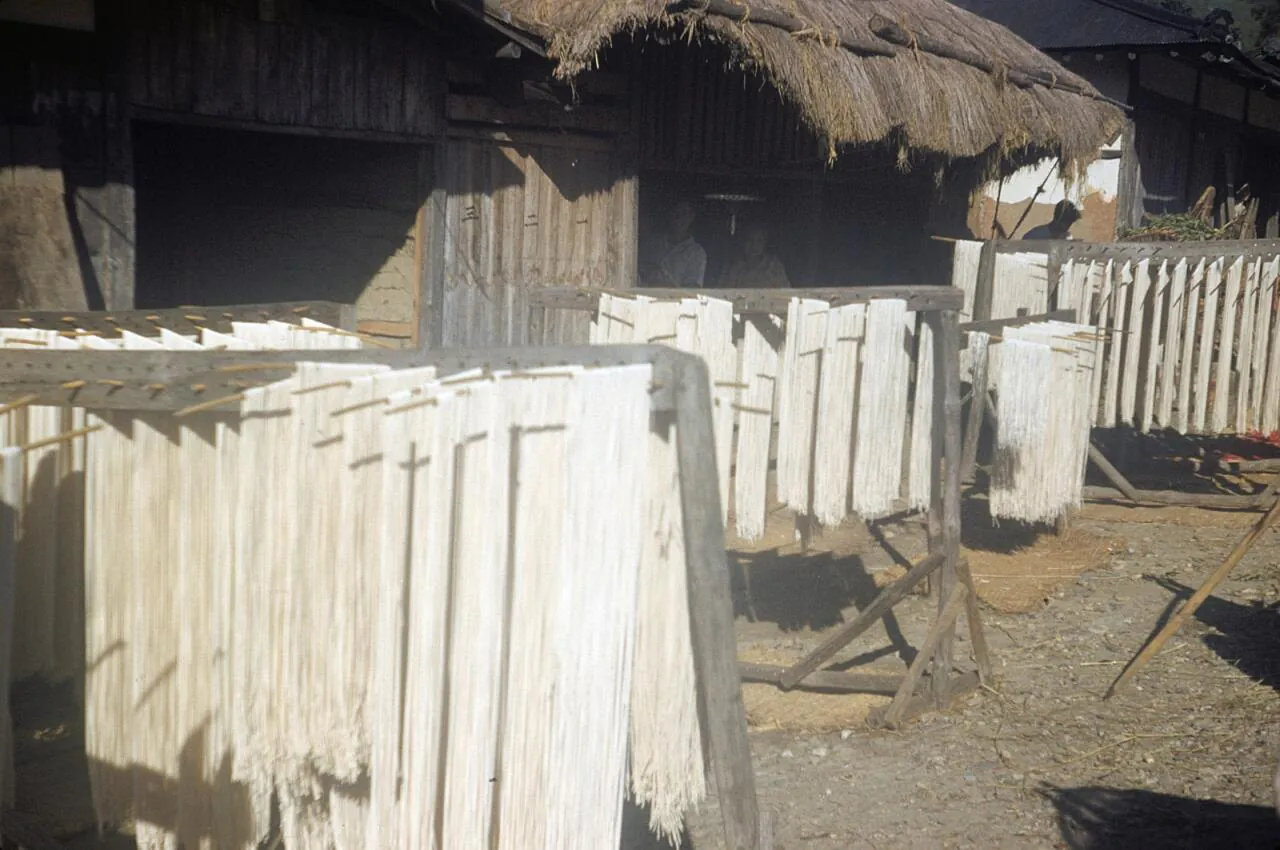 e_drying-racks1952_15956795317_o.jpg 희귀사진(KOREA, 1952)