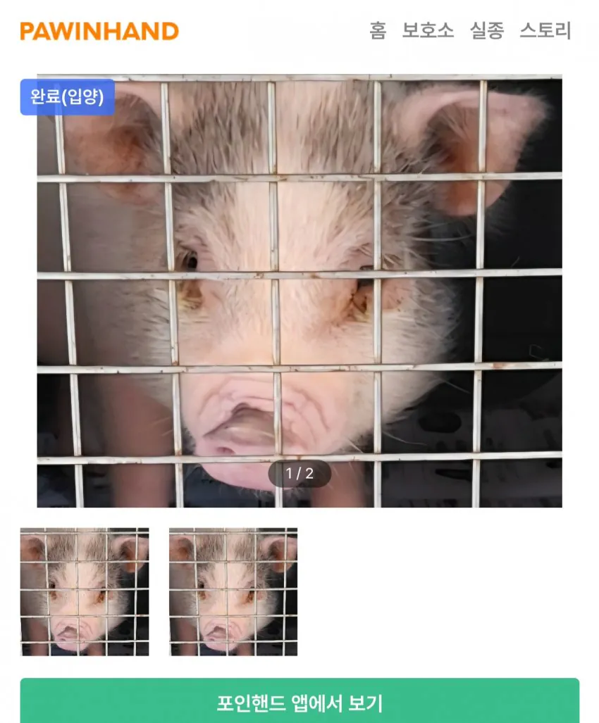 image.png ์์ธ๋ก ์
์๋ฅ ์ด ๋๋ค๋ ํฌ์ธํธ๋ ๋๋ฌผ.jpg