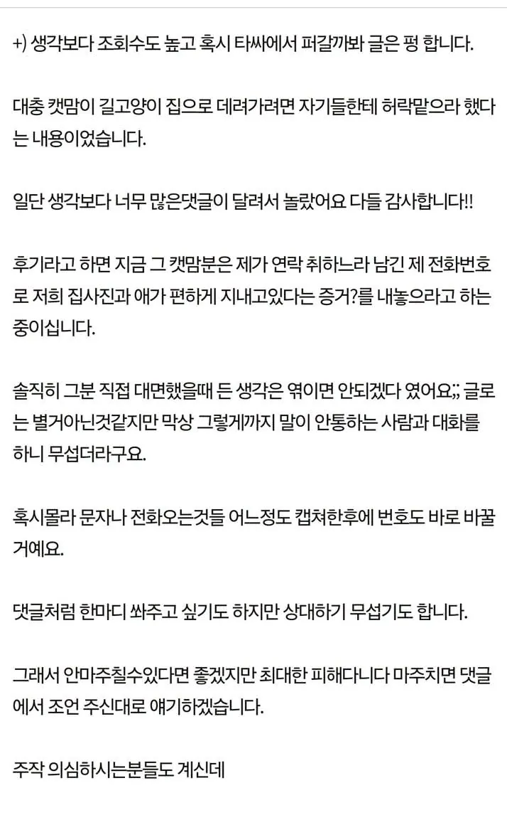 길고양이 소유권 주장하는 캣맘