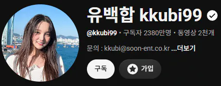 image.png 한국 천만유튜버 특징