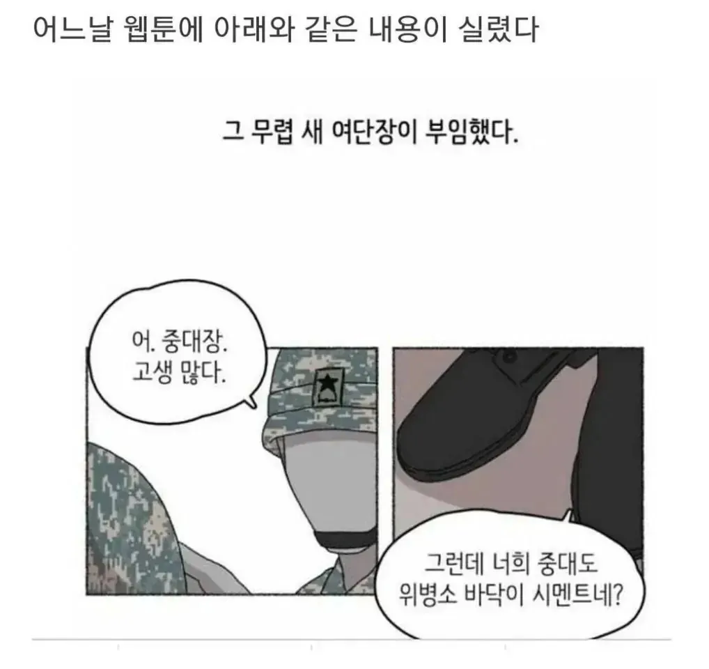 군대 웹툰에 댓글단 언냐들