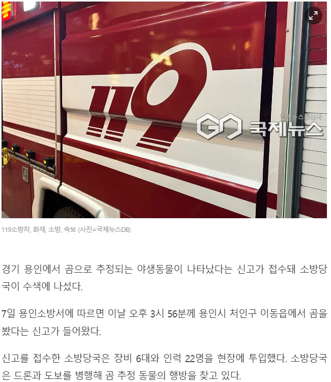 20261007_193037.png [속보] 용인 곰 추정 야생동물 출몰…주민 긴급 안내 문자 발송