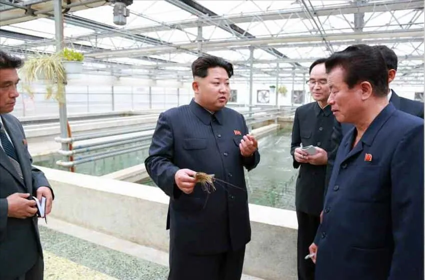 1790086602-1.jpg 김정은의 실제 대화 내용.jpg