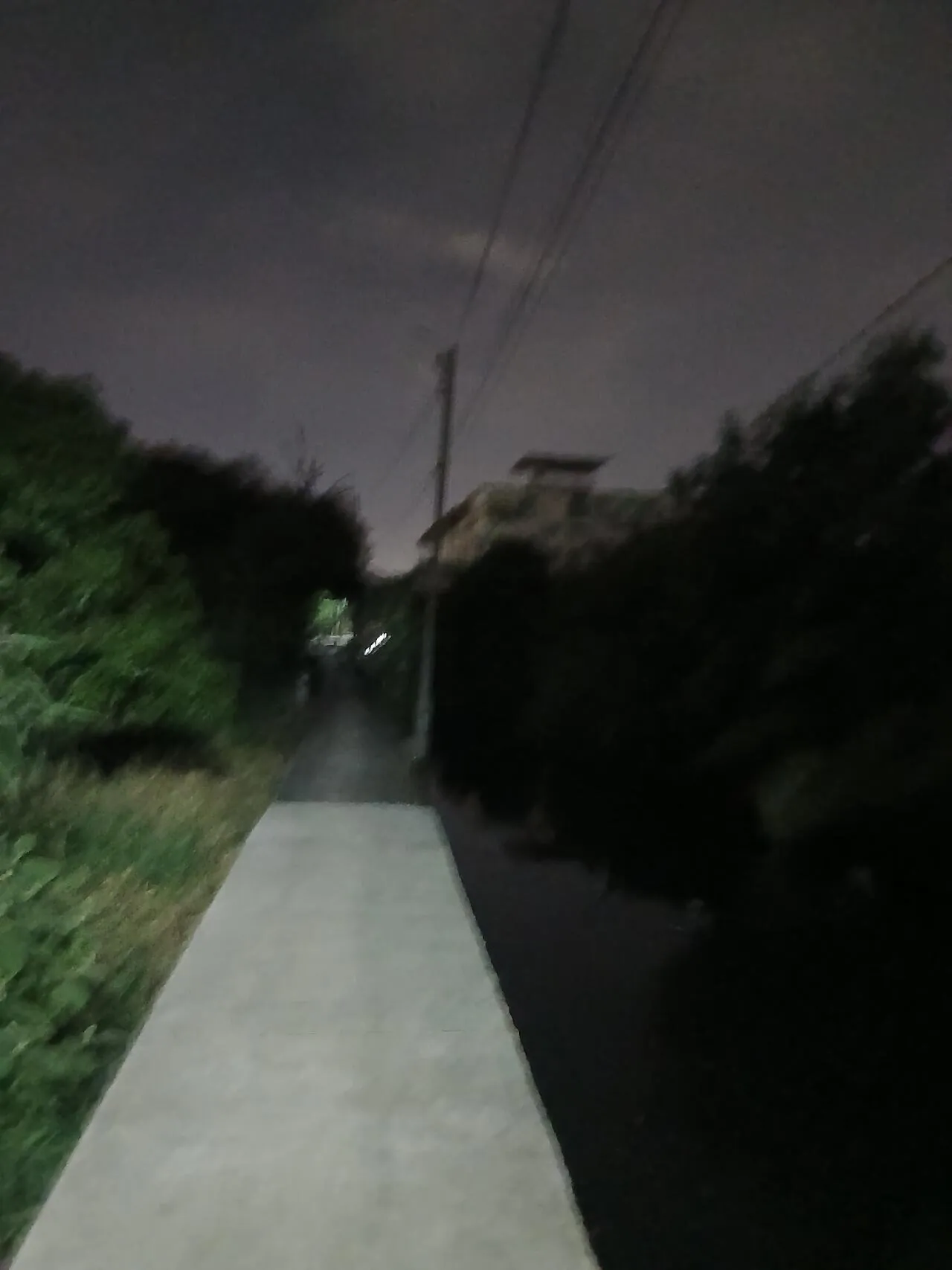 1000027050.jpg 혐주의) 2026 태국 뱀 탐사 작전 5일차