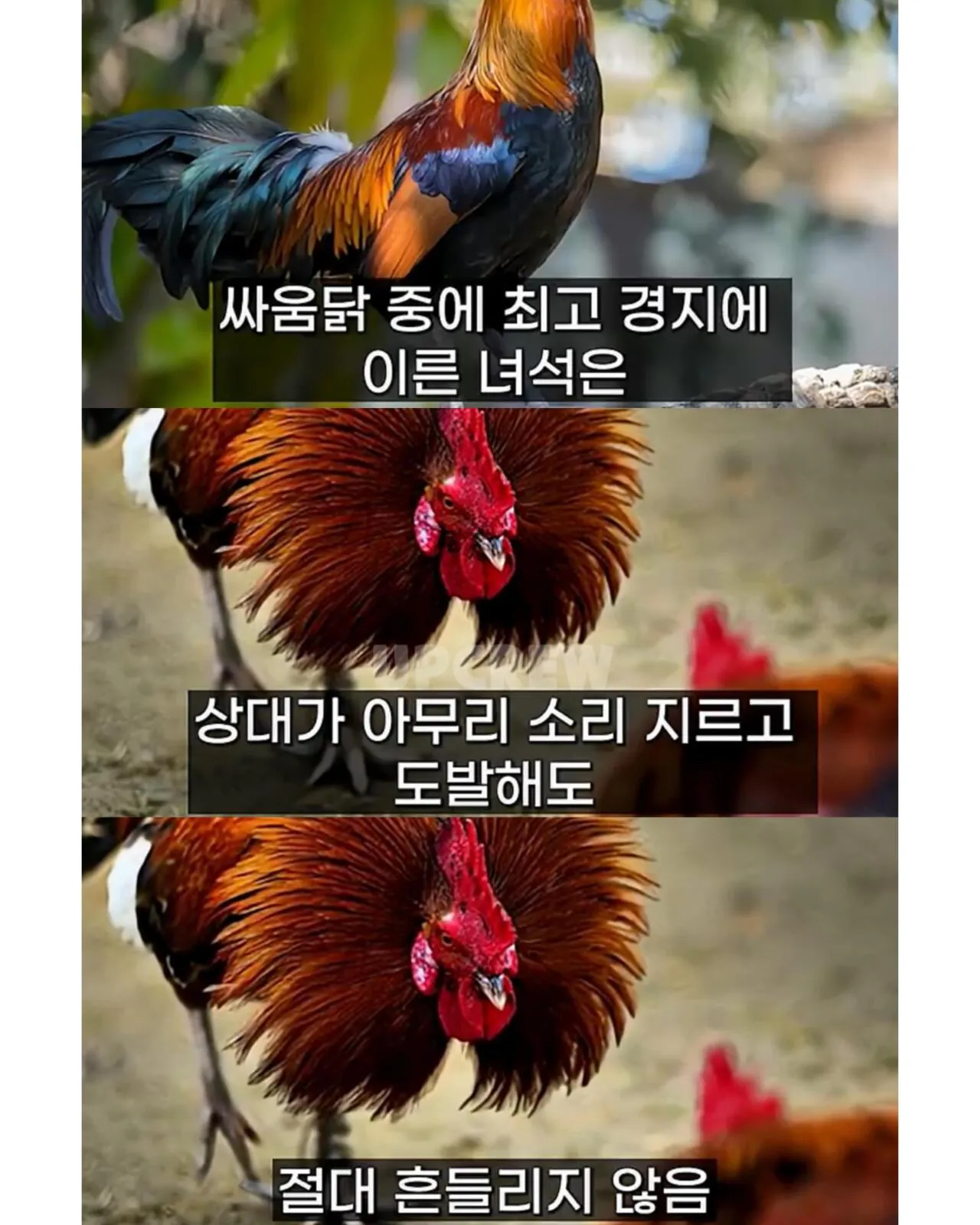721160633_18068971595687048_4876211774378496808_n.jpg 삼성 이재용이 평소에 조용한 진짜 이유.jpg