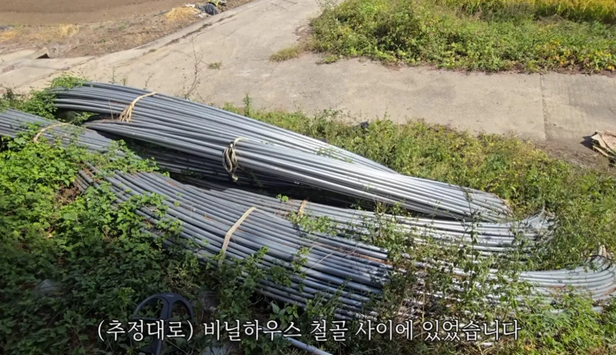 인디아나 웁스 (70).bmp.ren.jpg 스압 ) 금속탐지기로 고인의 유품을찾아준 유튜버