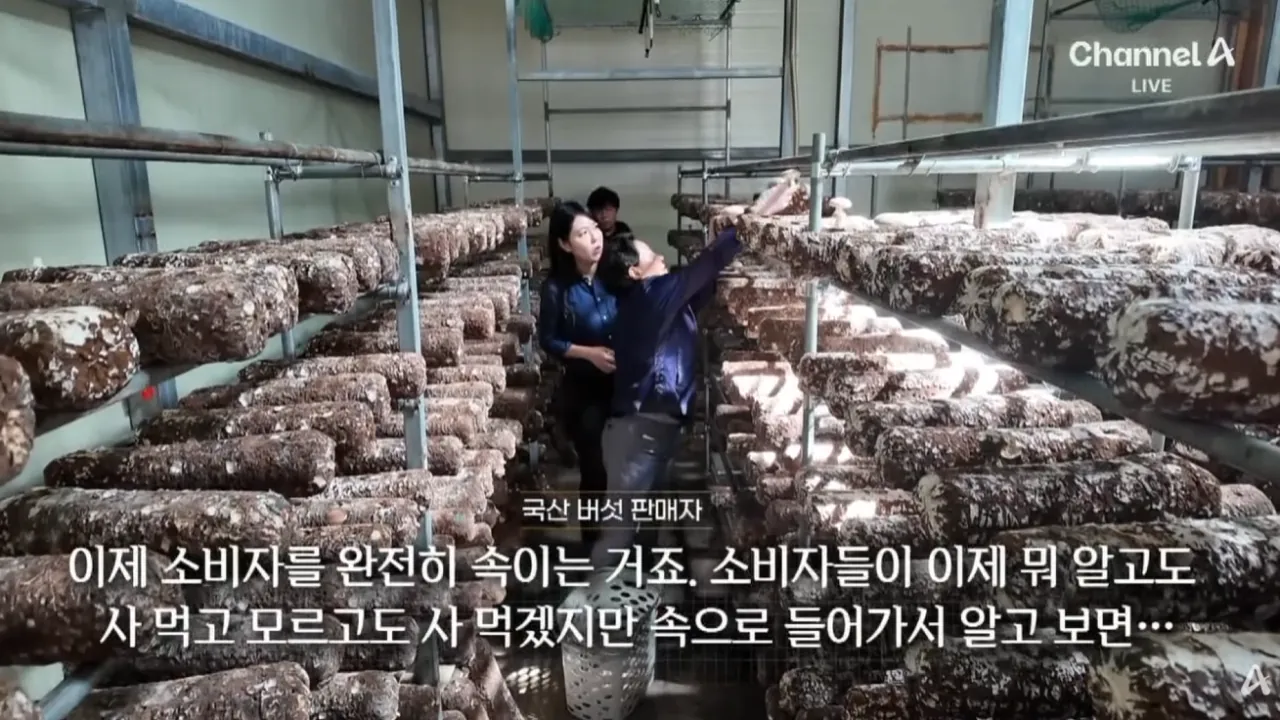 검사 키트 ‘한 줄’ 나온 뒤에야 “수입산 인정” (35).png 명절때 우후죽순 여전히 나오는 원산지표기위반 상인들