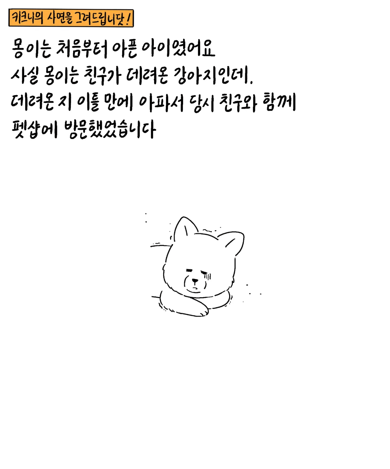 image.png 친구가 펫샵에 파양한 강아지 데리고 와 지극정성으로 키운 사연자