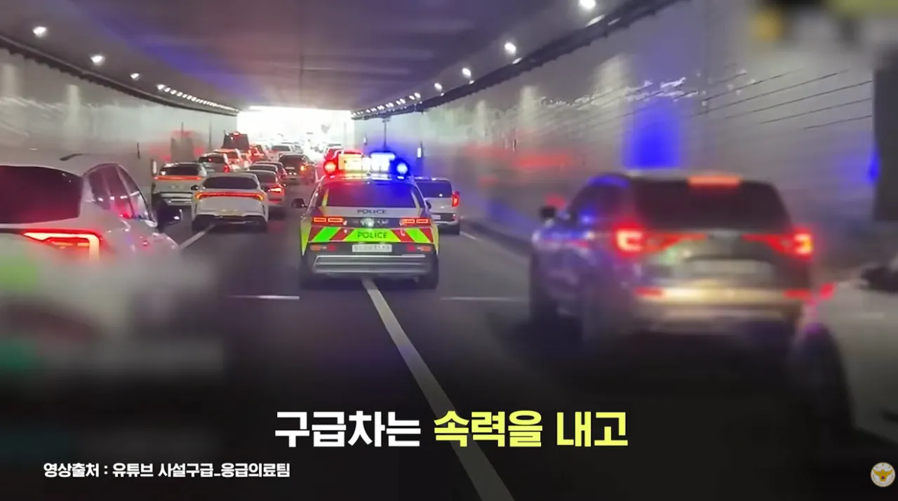 생후 2일 신생아 긴급 에스코트 (19).png 생후 2일된 아기 긴급 에스코트 시민들이 모두함께 살렸다