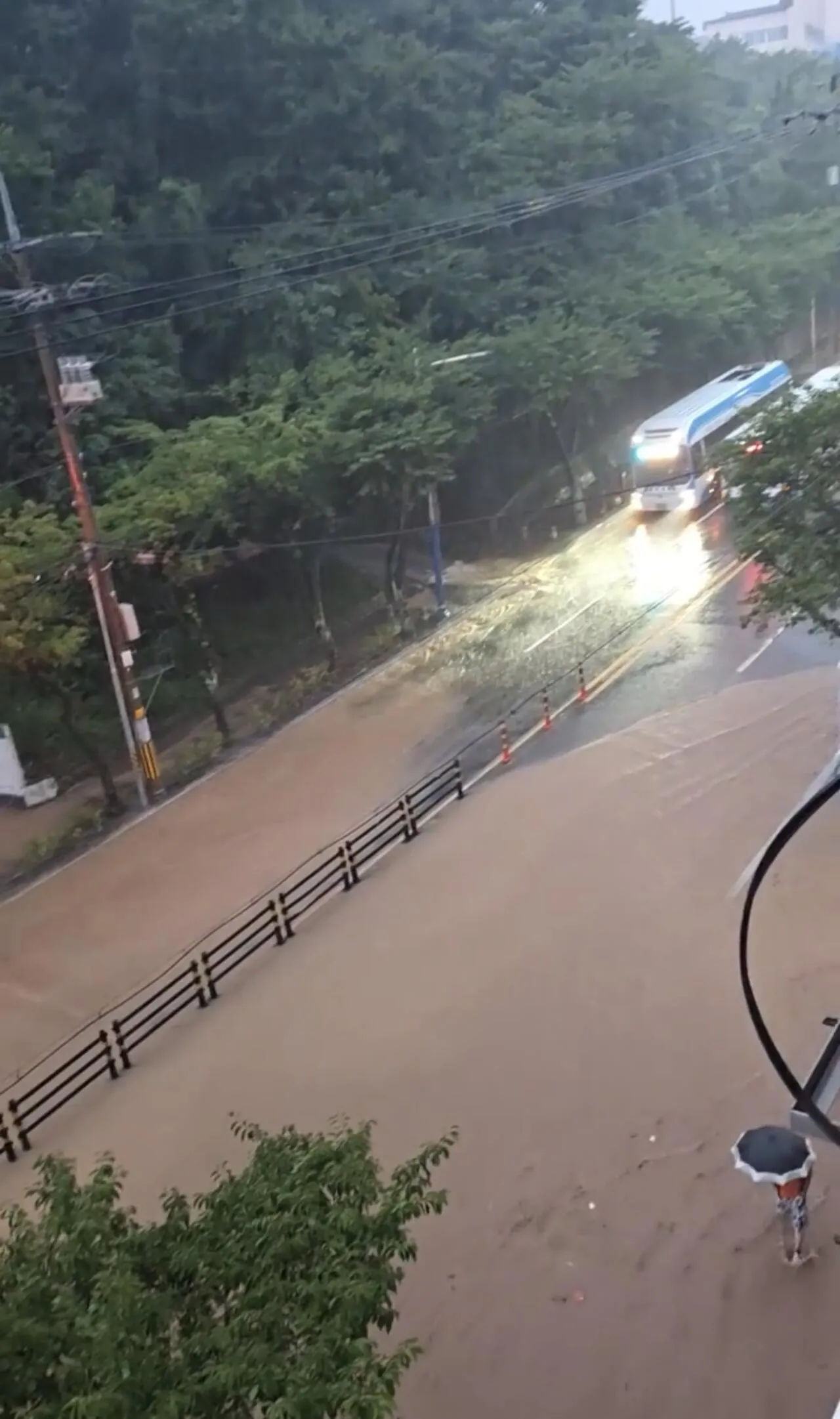 거제에묻혔는데 통영도 난리남.. 통영상황