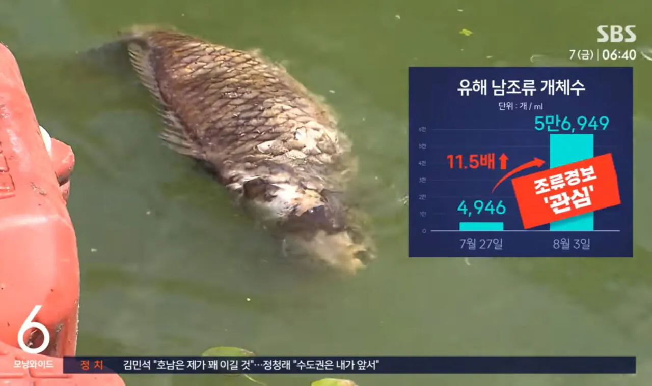심각한 남부지방 가뭄