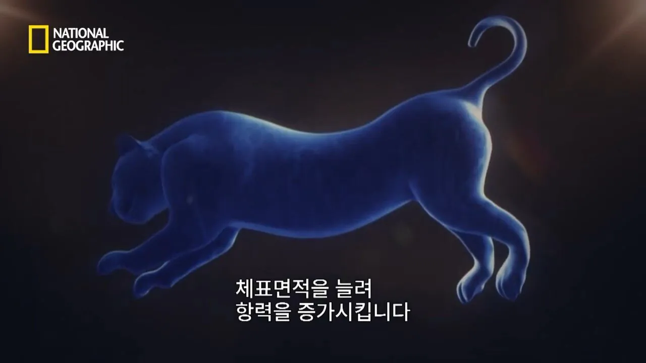 Internet_20260802_153513_28.jpeg 사냥 중 120m 절벽 아래로 떨어진 눈표범