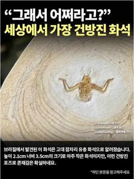 image.png 사실상 완전생물인 고공의 도살자