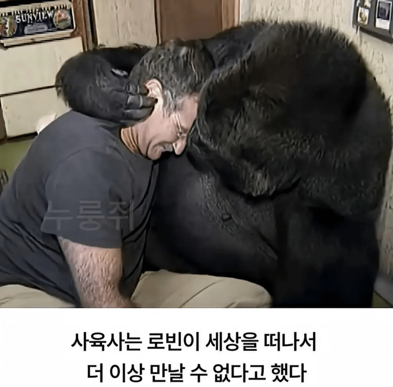 image.png ์ธ๊ณ ์ต์ด๋ก ์์ด๋ฅผ ์ด์ฉํด ์ธ๊ฐ๊ณผ์ ๋ํ์ ์ฑ๊ณตํ ๊ณ ๋ฆด๋ผ.jpg