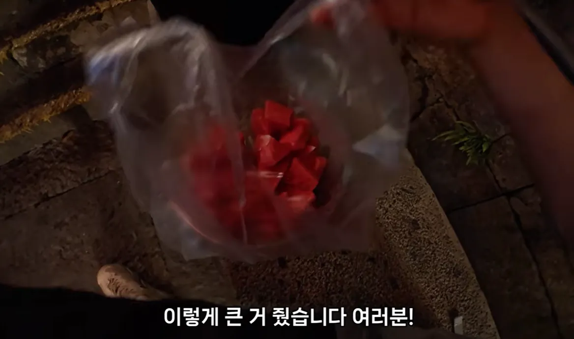 화면 캡처 2026-08-13 232907.png 한국인 보자마자 수박 주는 중국인들.jpg